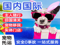 嫩江墨尔根航空物流国际宠物托运 【国
